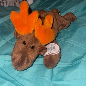 Chocolate beanie baby